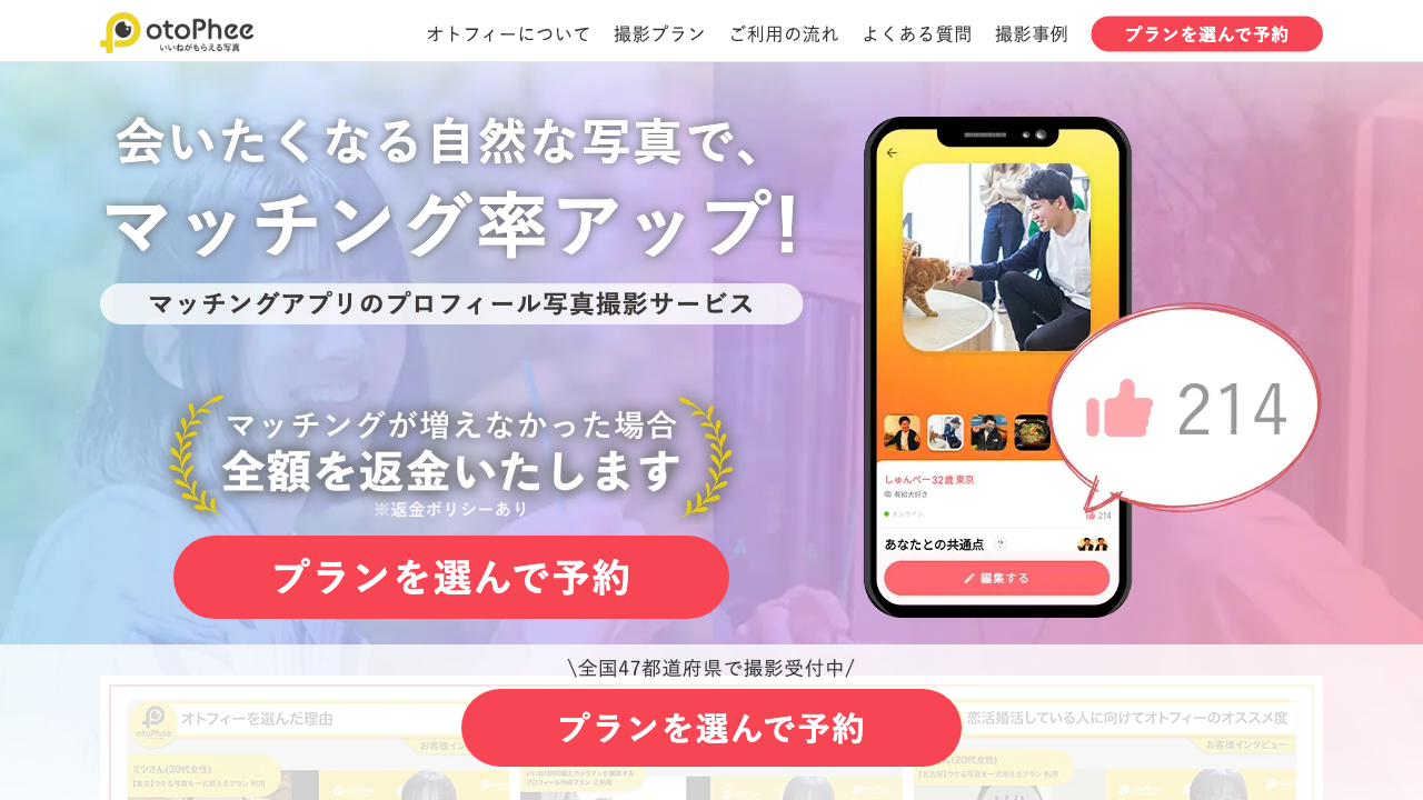 オトフィーの説明用Visual